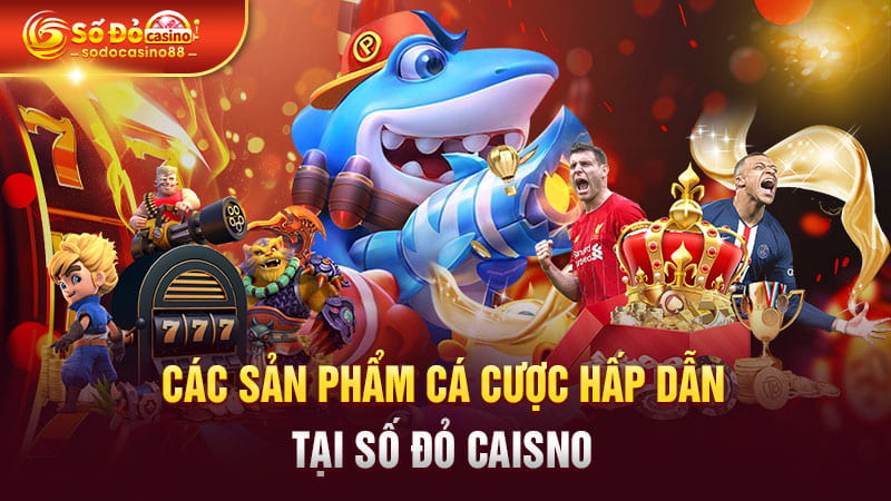 Các sản phẩm cá cược hấp dẫn tại Số Đỏ Casino